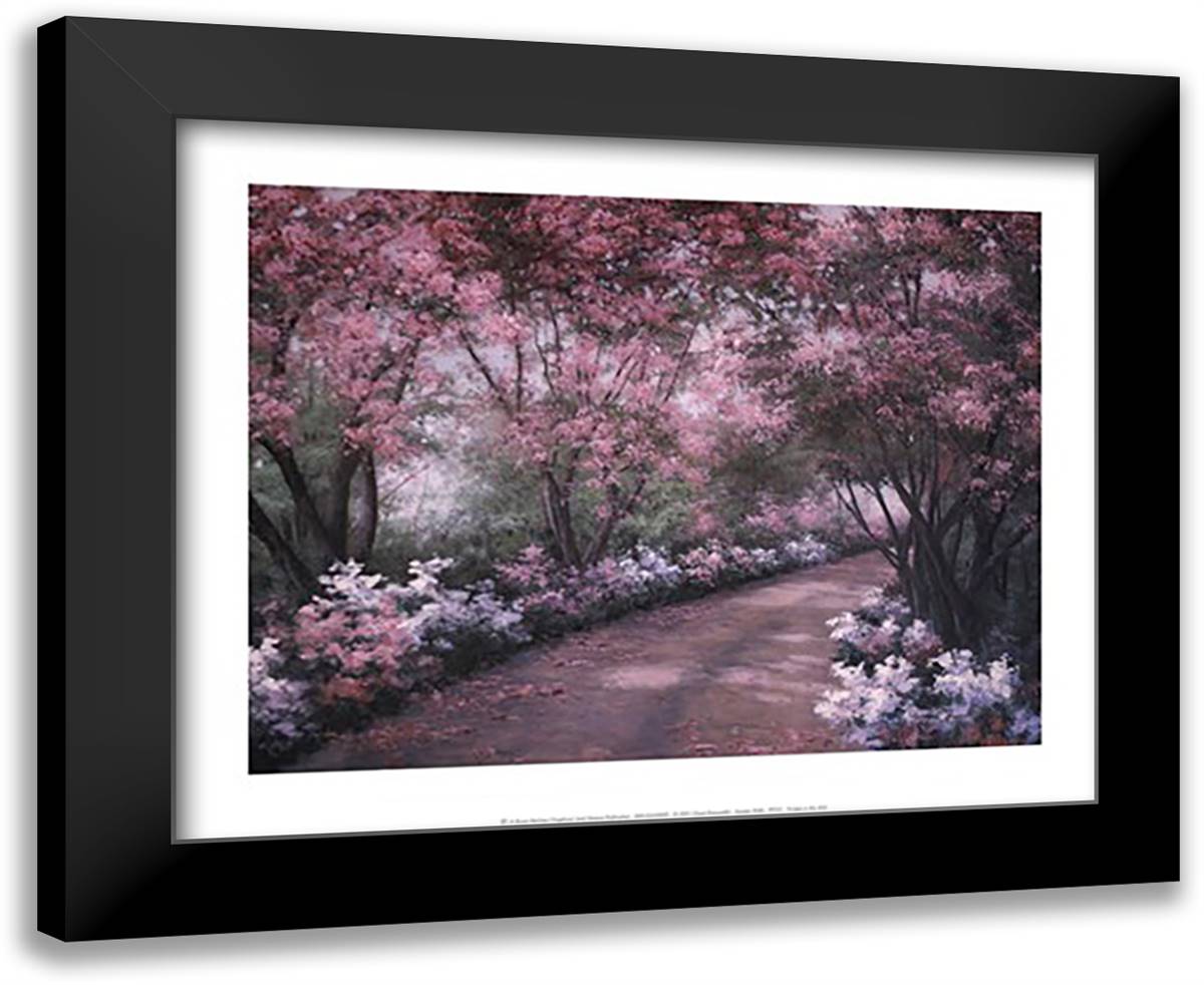 Azalea Walk 18x15 Black Modern Wood Framed Art Print Poster by Romanello, Diane