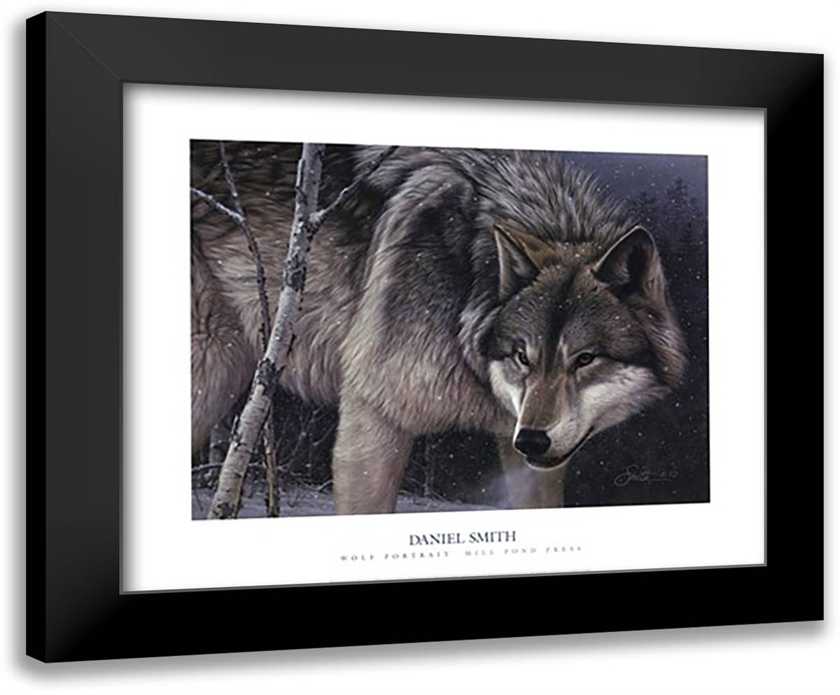 Wolf Portrait 24x20 Black Modern Wood Framed Art Print Poster by Smith, Daniel