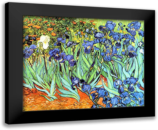 Irises in the Garden 36x28 Black Modern Wood Framed Art Print Poster by Van Gogh, Vincent