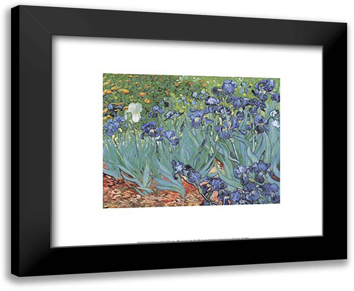 Irises in the Garden, Saint-Remy, c.1889 18x15 Black Modern Wood Framed Art Print Poster by Van Gogh, Vincent