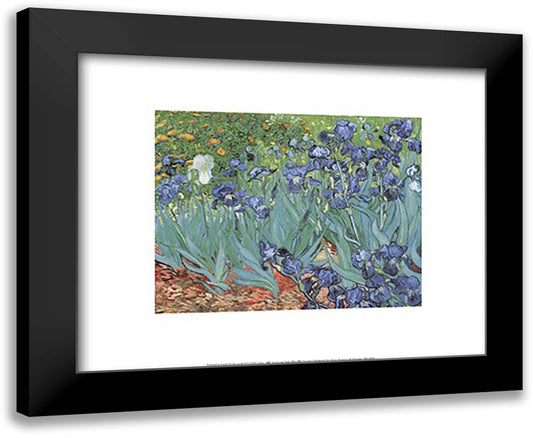 Irises in the Garden, Saint-Remy, c.1889 18x15 Black Modern Wood Framed Art Print Poster by Van Gogh, Vincent
