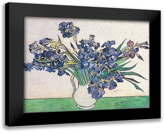 Irises 18x15 Black Modern Wood Framed Art Print Poster by Van Gogh, Vincent