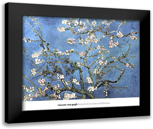 Almond Blossom, 1890 28x24 Black Modern Wood Framed Art Print Poster by Van Gogh, Vincent