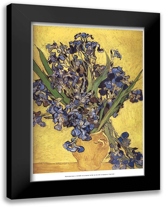 Irises in Vase 17x23 Black Modern Wood Framed Art Print Poster by Van Gogh, Vincent