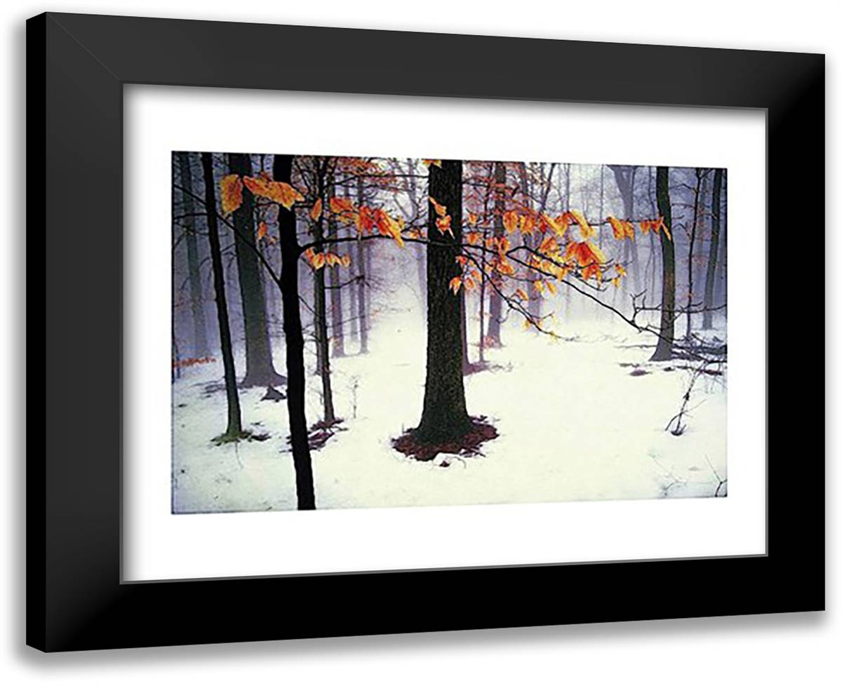 Quiet Woods 18x15 Black Modern Wood Framed Art Print Poster by Winston, David Lorenz