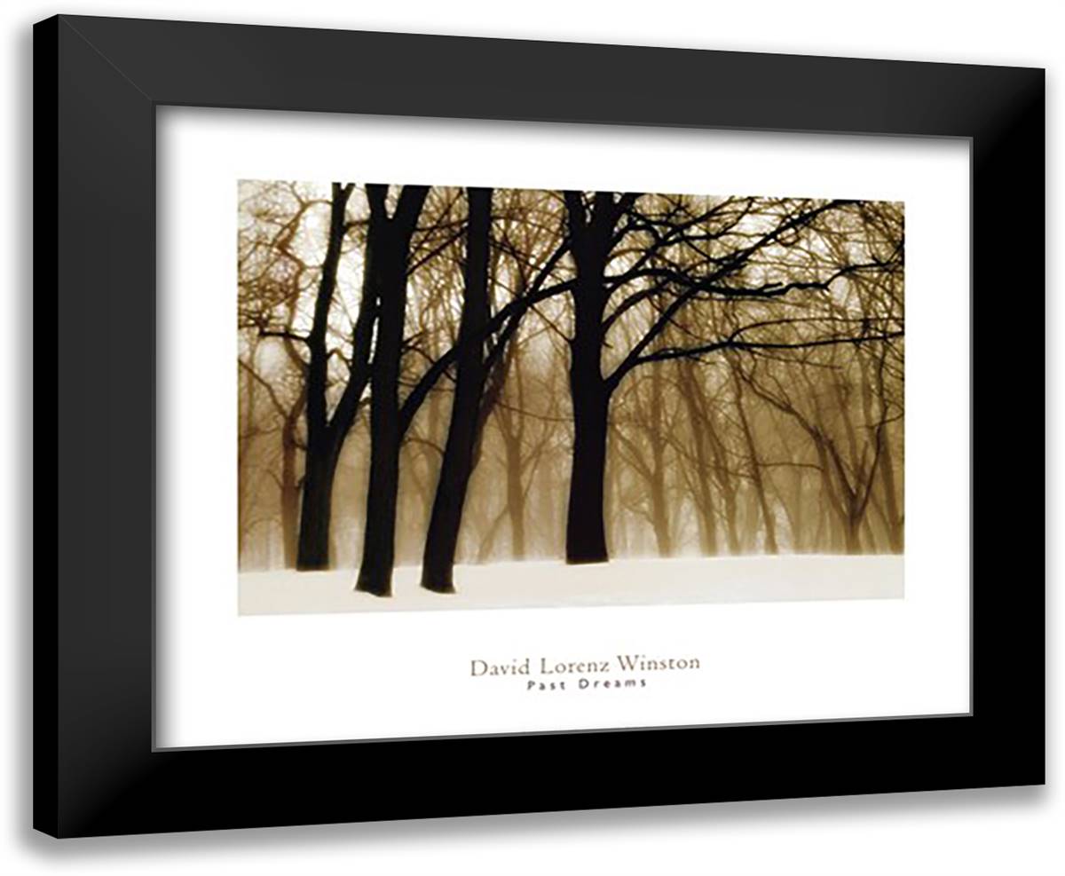 Past Dreams 34x28 Black Modern Wood Framed Art Print Poster by Winston, David Lorenz