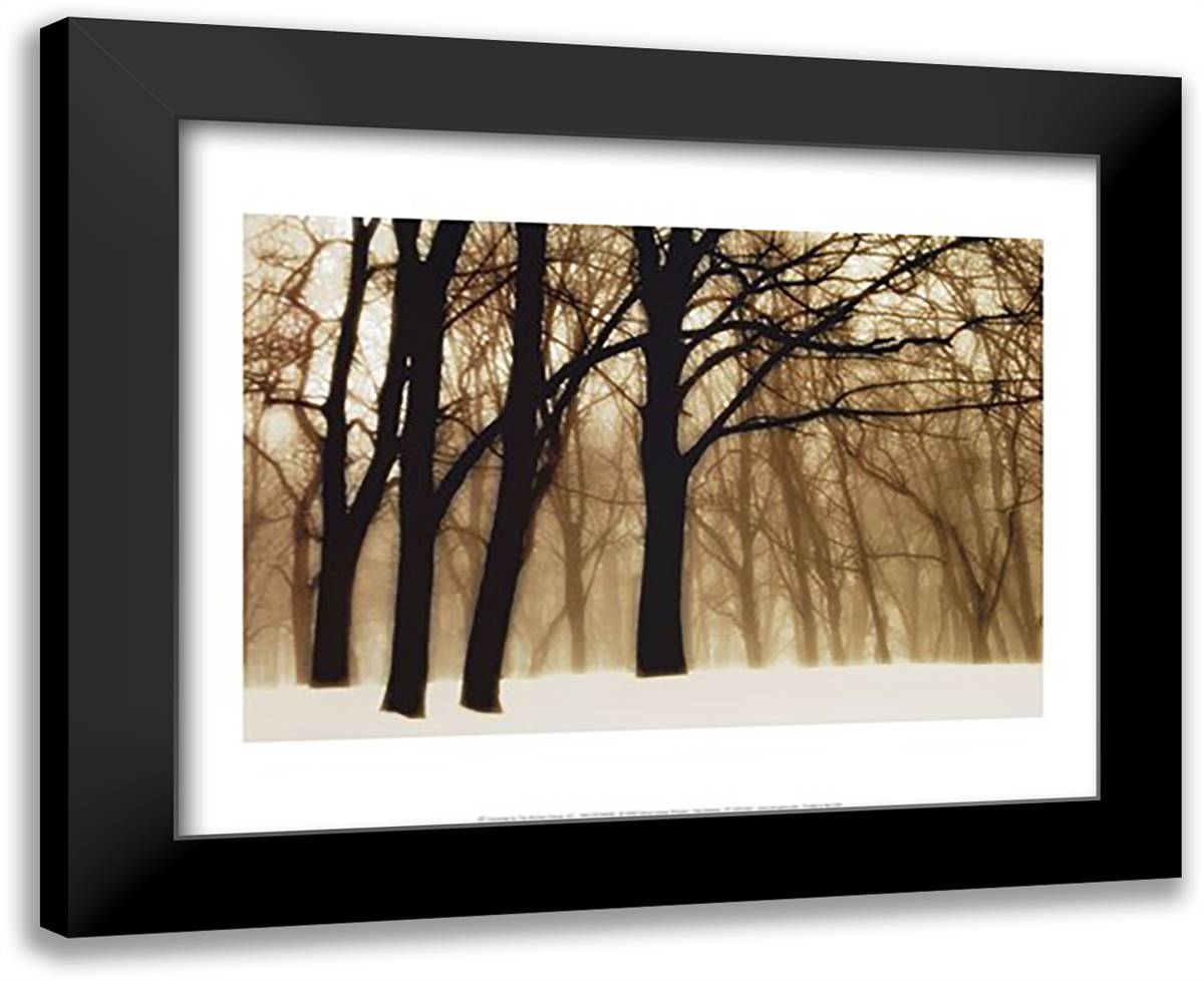 Past Dreams 18x15 Black Modern Wood Framed Art Print Poster by Winston, David Lorenz