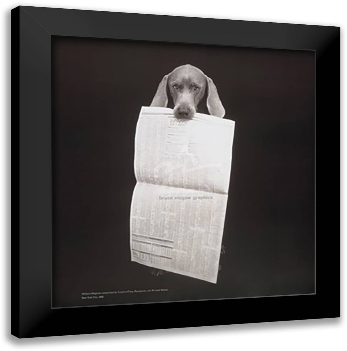 N.Y.S.E., 1995 26x27 Black Modern Wood Framed Art Print Poster by Wegman, William