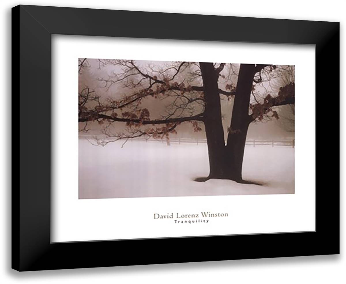 Tranquility 34x28 Black Modern Wood Framed Art Print Poster by Winston, David Lorenz