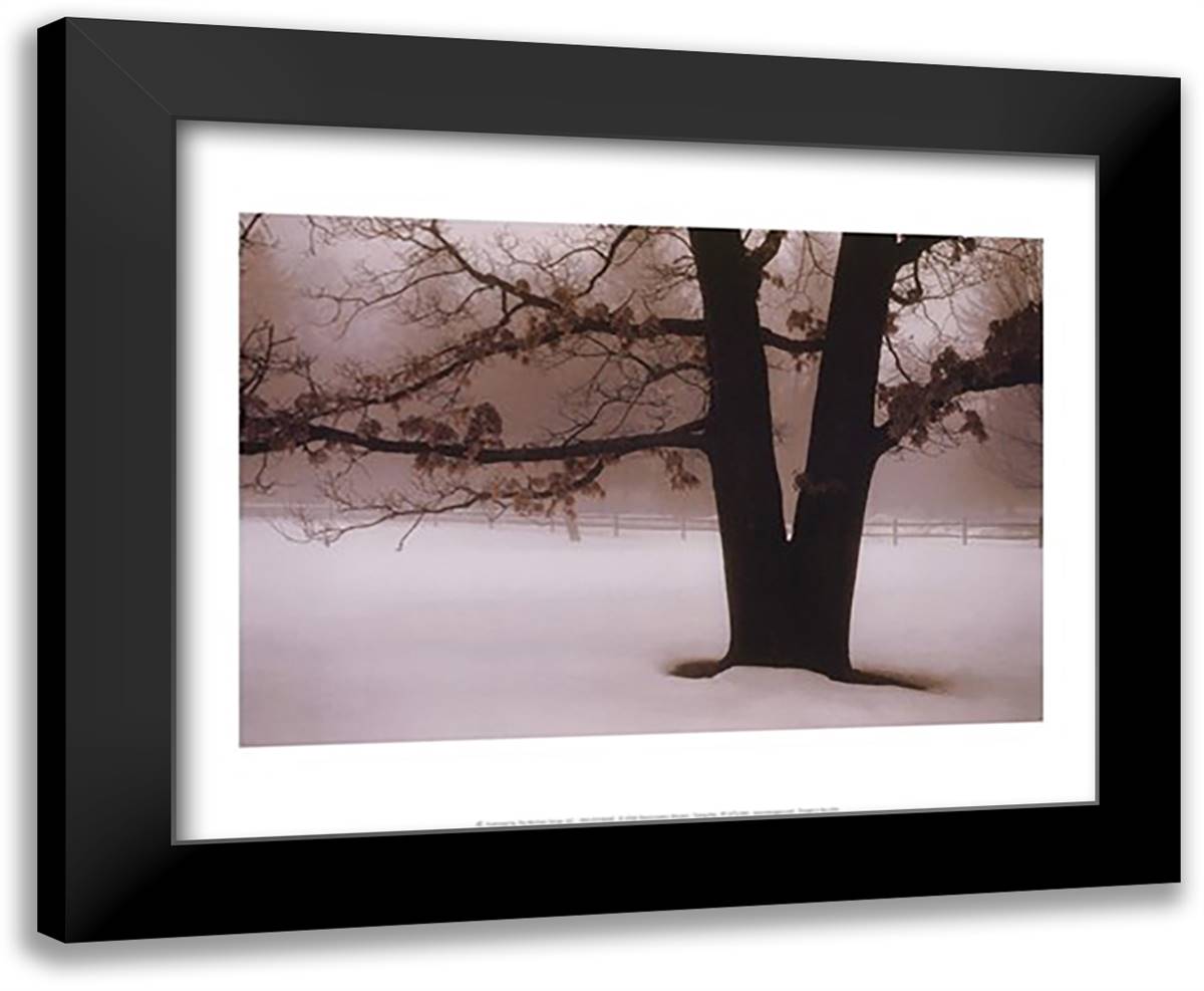 Tranquility 18x15 Black Modern Wood Framed Art Print Poster by Winston, David Lorenz