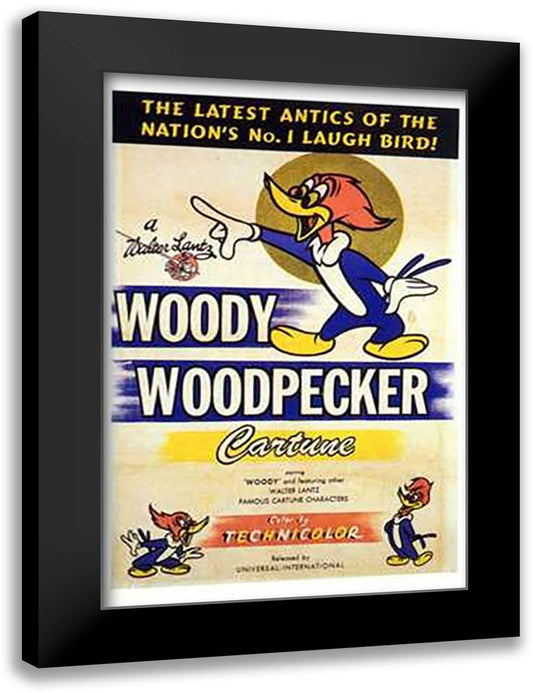 Woody Woodpecker 15x21 Black Modern Wood Framed Art Print Poster