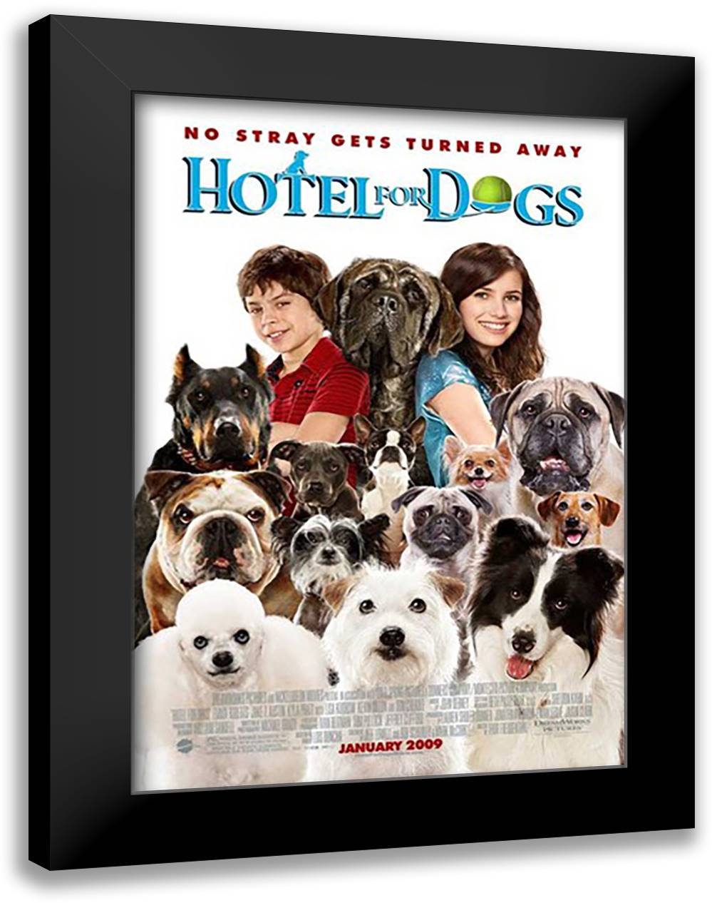 Hotel for Dogs, c.2009 - style C 15x21 Black Modern Wood Framed Art Print Poster