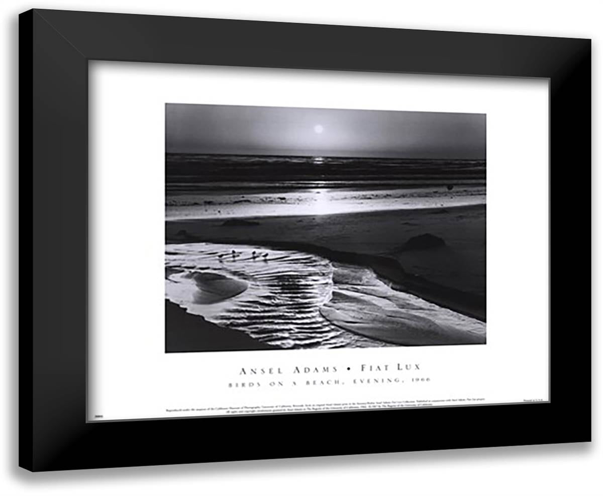 Birds on a Beach 18x15 Black Modern Wood Framed Art Print Poster by Adams, Ansel