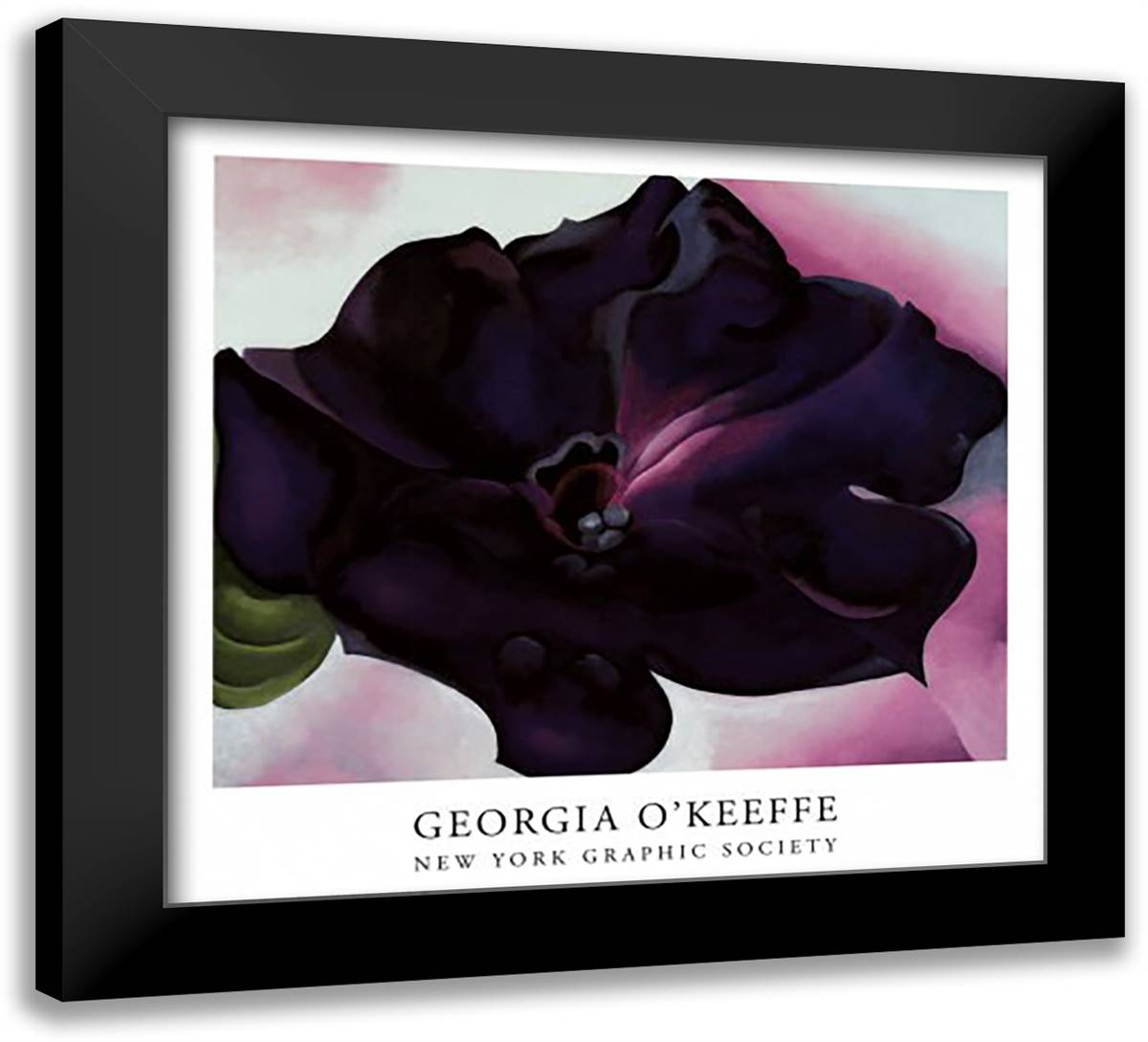 Petunia 30x28 Black Modern Wood Framed Art Print Poster by O'Keeffe, Georgia