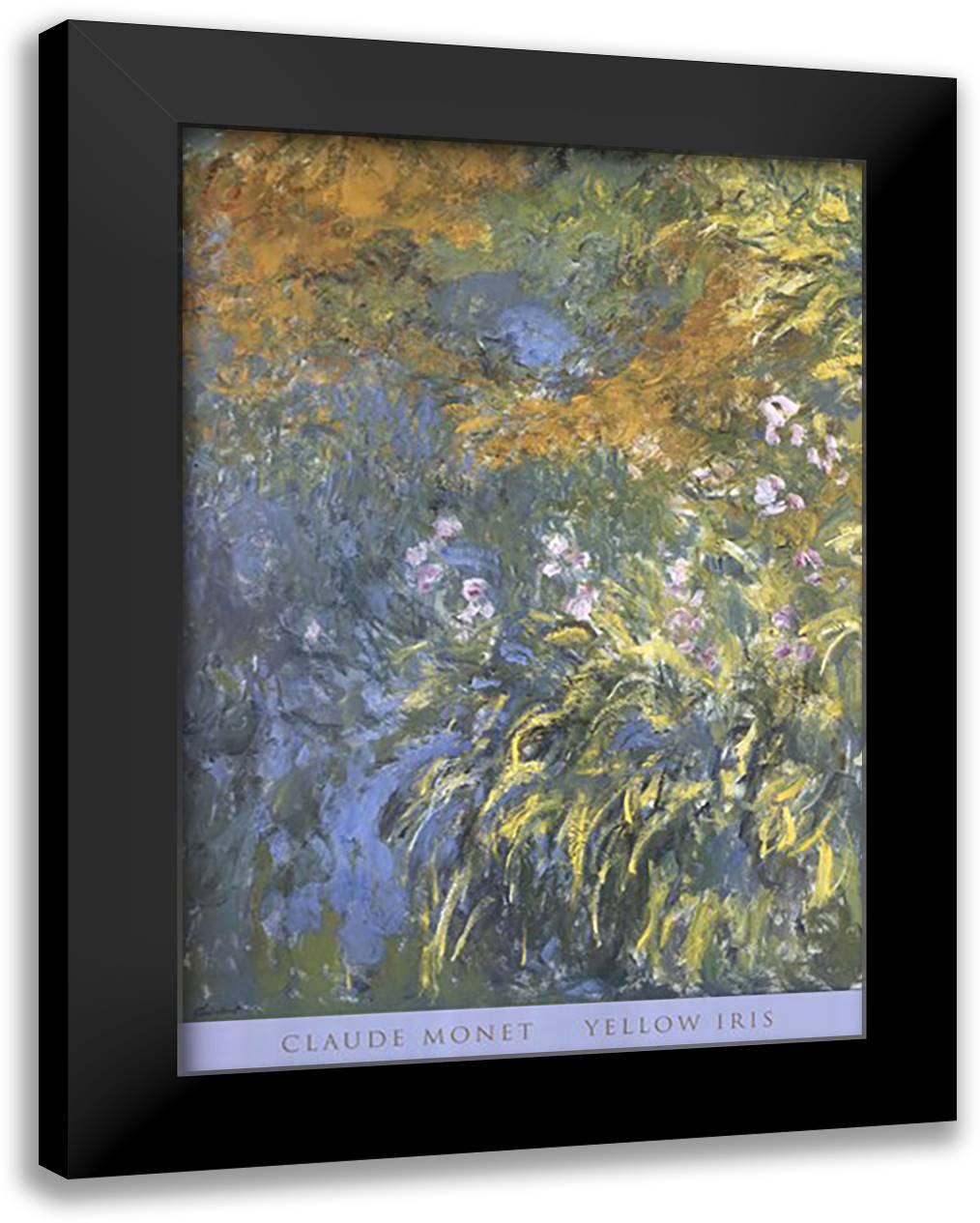 Yellow Iris 28x40 Black Modern Wood Framed Art Print Poster by Monet, Claude