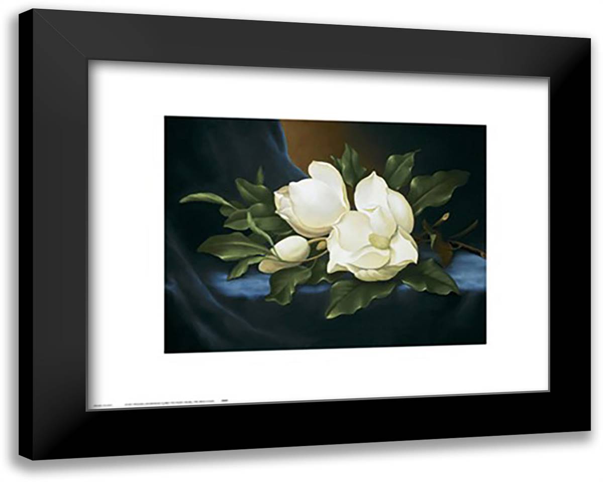 Paul Cordsen - Magnolias Size 12.5x16.25 20x17 Black Modern Wood Framed Art Print Poster