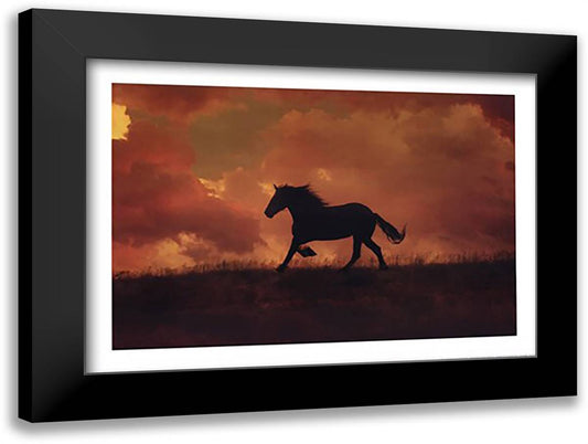 The Forgotten Horse 31x23 Black Modern Wood Framed Art Print Poster by Stromberg, Tony