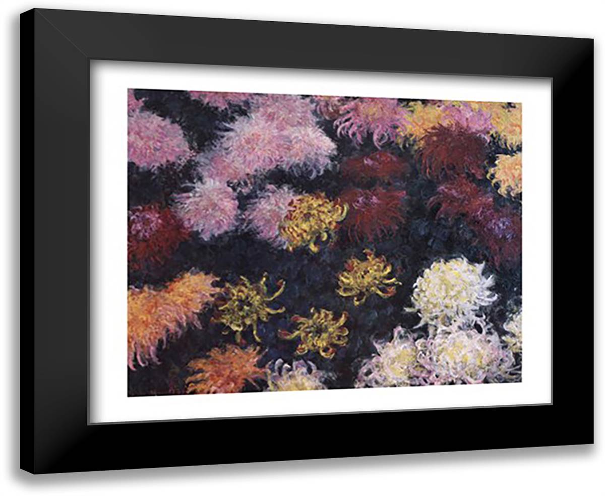 Chrysanthemum, 1897 30x25 Black Modern Wood Framed Art Print Poster by Monet, Claude