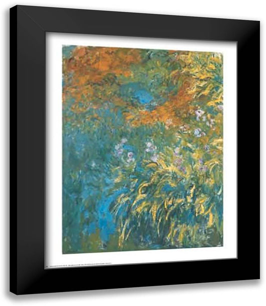Yellow Iris 24x31 Black Modern Wood Framed Art Print Poster by Monet, Claude