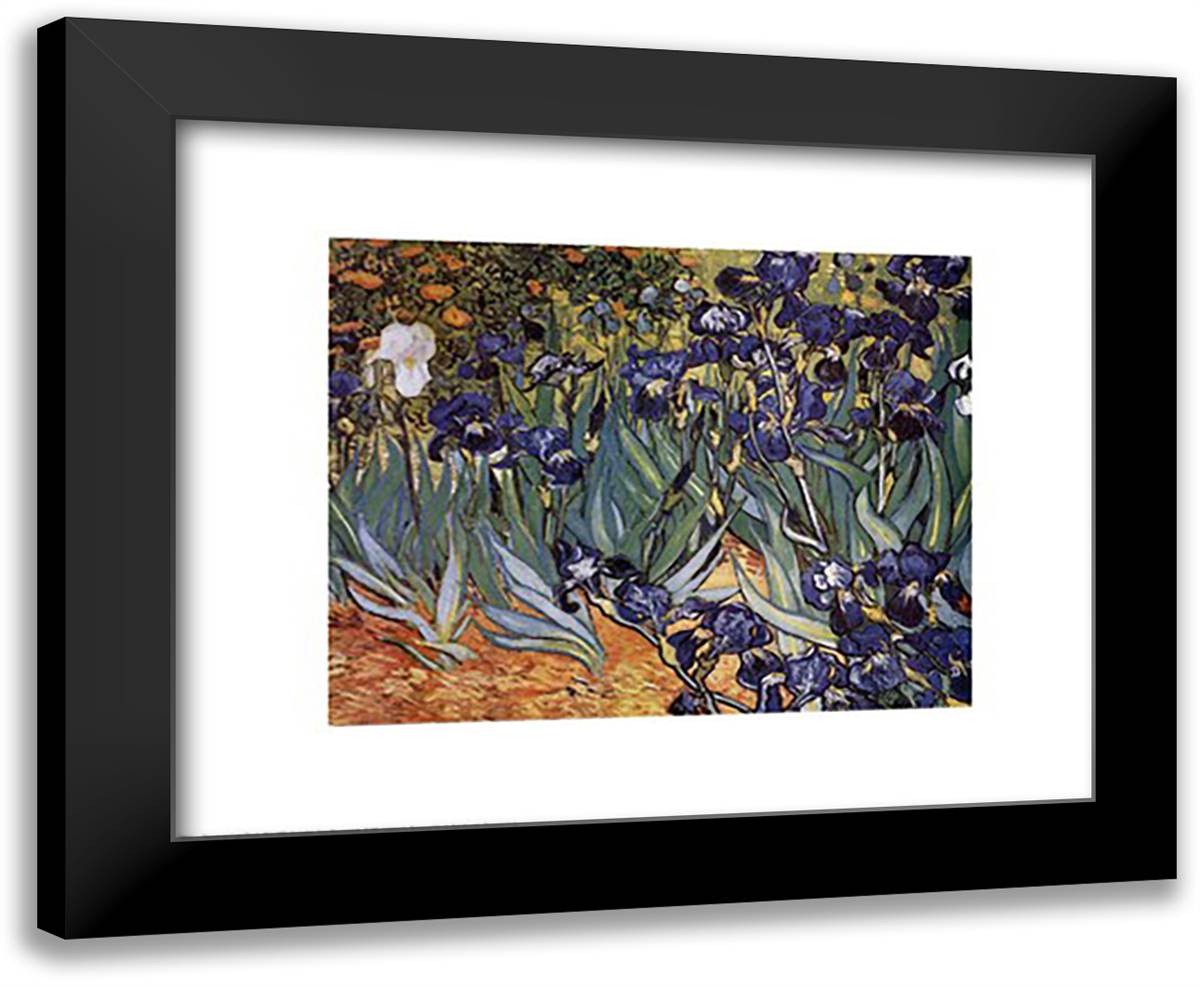 Irises in the Garden, Saint-Remy, c.1889 24x20 Black Modern Wood Framed Art Print Poster by Van Gogh, Vincent