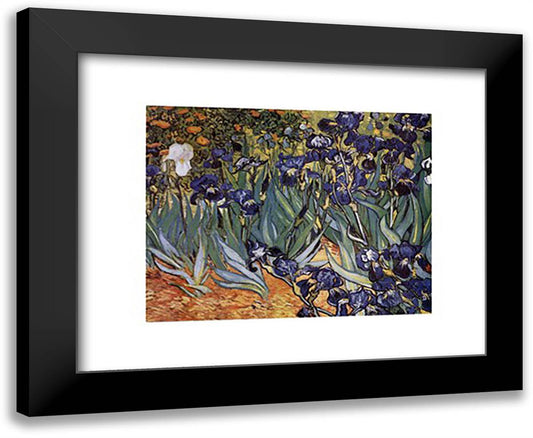 Irises in the Garden, Saint-Remy, c.1889 24x20 Black Modern Wood Framed Art Print Poster by Van Gogh, Vincent