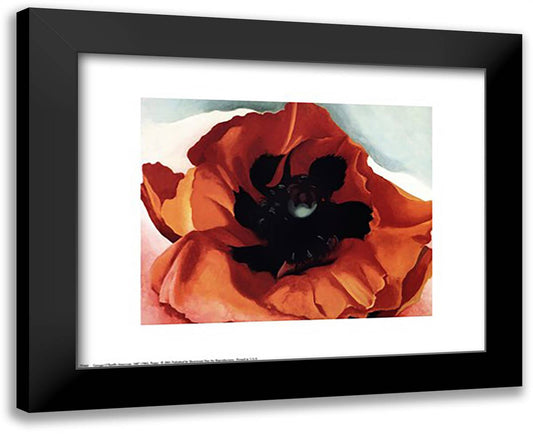 Poppy 18x15 Black Modern Wood Framed Art Print Poster by O'Keeffe, Georgia