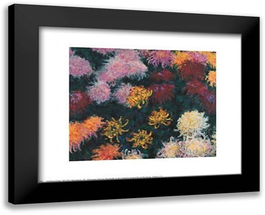 Chrysanthemum, 1897 14x12 Black Modern Wood Framed Art Print Poster by Monet, Claude