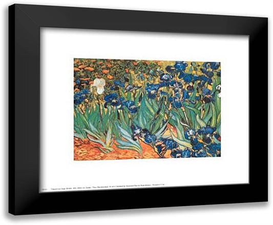 Iris Garden 11x9 Black Modern Wood Framed Art Print Poster by Van Gogh, Vincent
