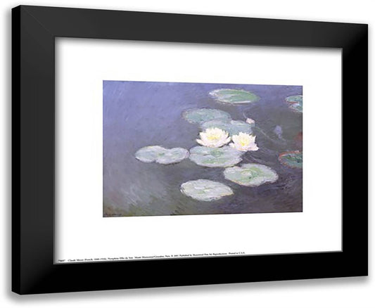 Nympheas Effet du Soir 14x12 Black Modern Wood Framed Art Print Poster by Monet, Claude
