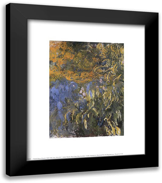 Iris, 1914-1917 12x14 Black Modern Wood Framed Art Print Poster by Monet, Claude