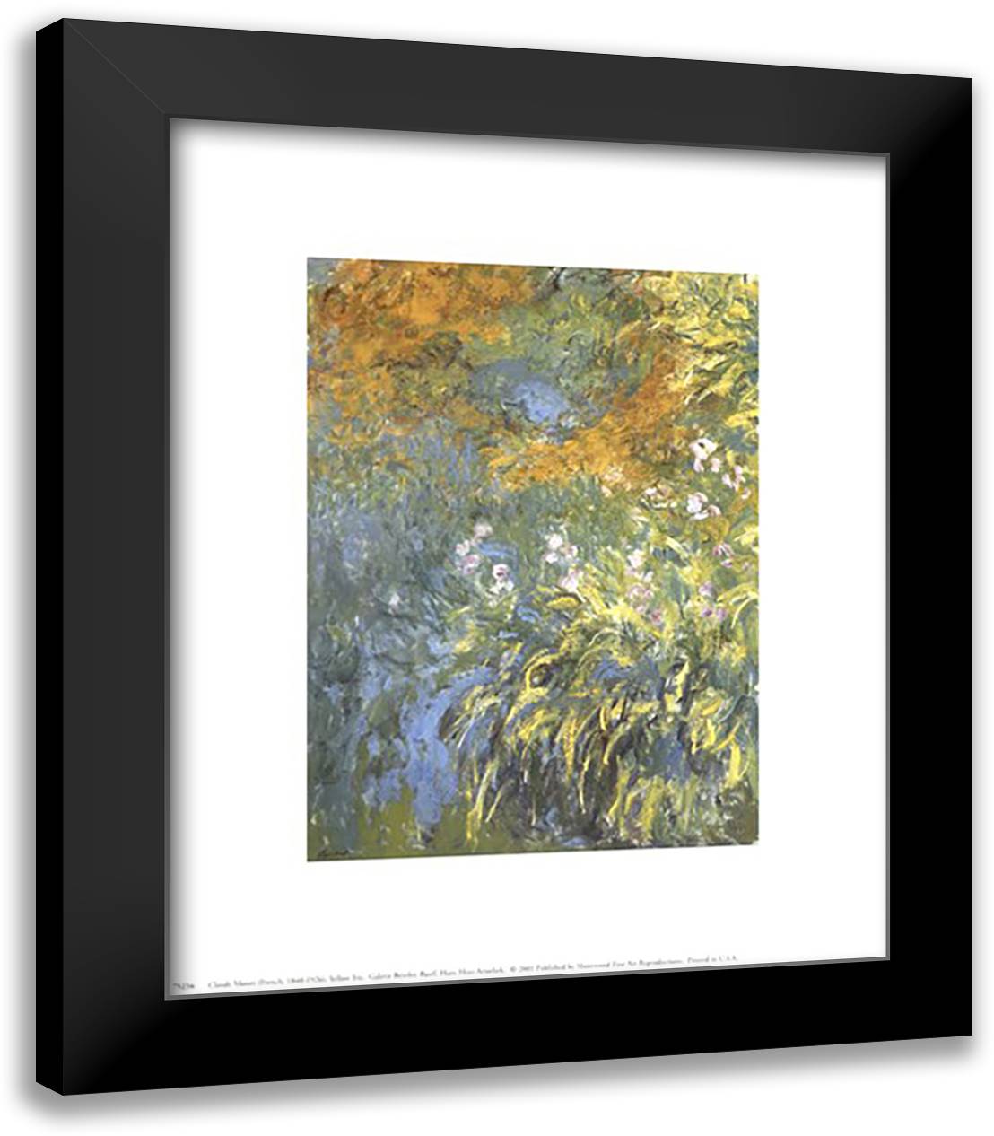 Yellow Iris 12x14 Black Modern Wood Framed Art Print Poster by Monet, Claude