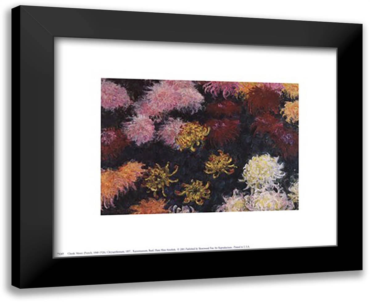 Chrysanthemum, 1897 14x12 Black Modern Wood Framed Art Print Poster by Monet, Claude