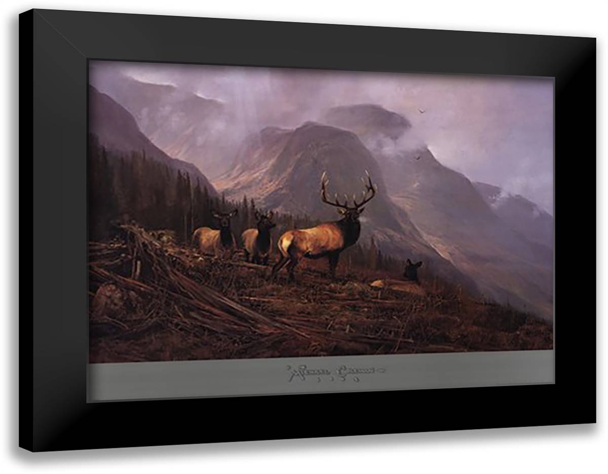 Bookcliffs Elk 38x28 Black Modern Wood Framed Art Print Poster by Coleman, Michael