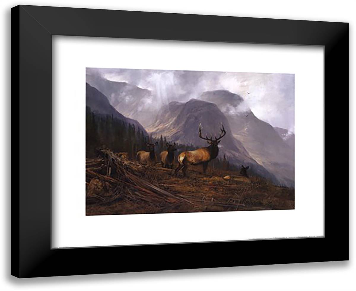 Bookcliffs Elk 24x20 Black Modern Wood Framed Art Print Poster by Coleman, Michael