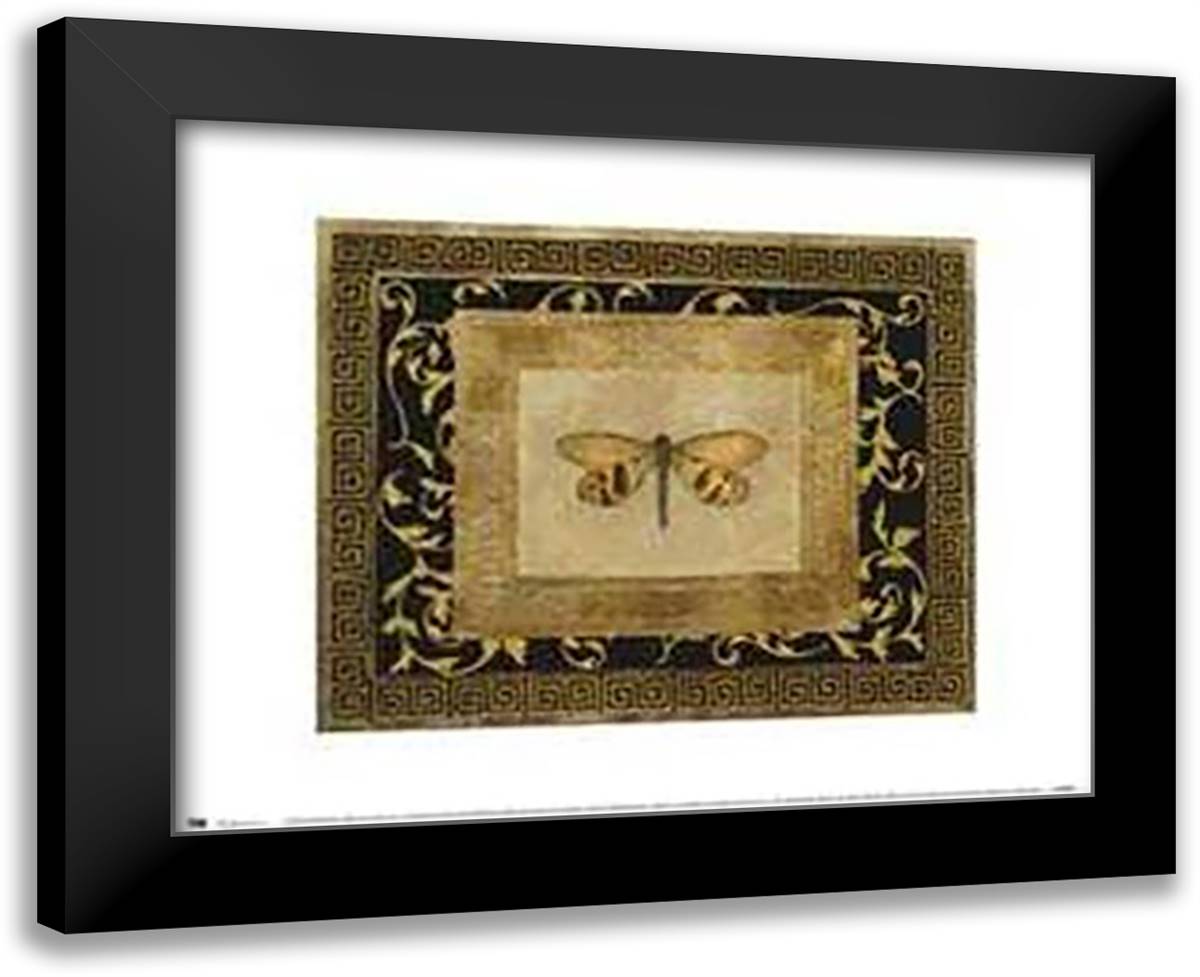 Dragon Fly II 18x15 Black Modern Wood Framed Art Print Poster by Hayes, Allen