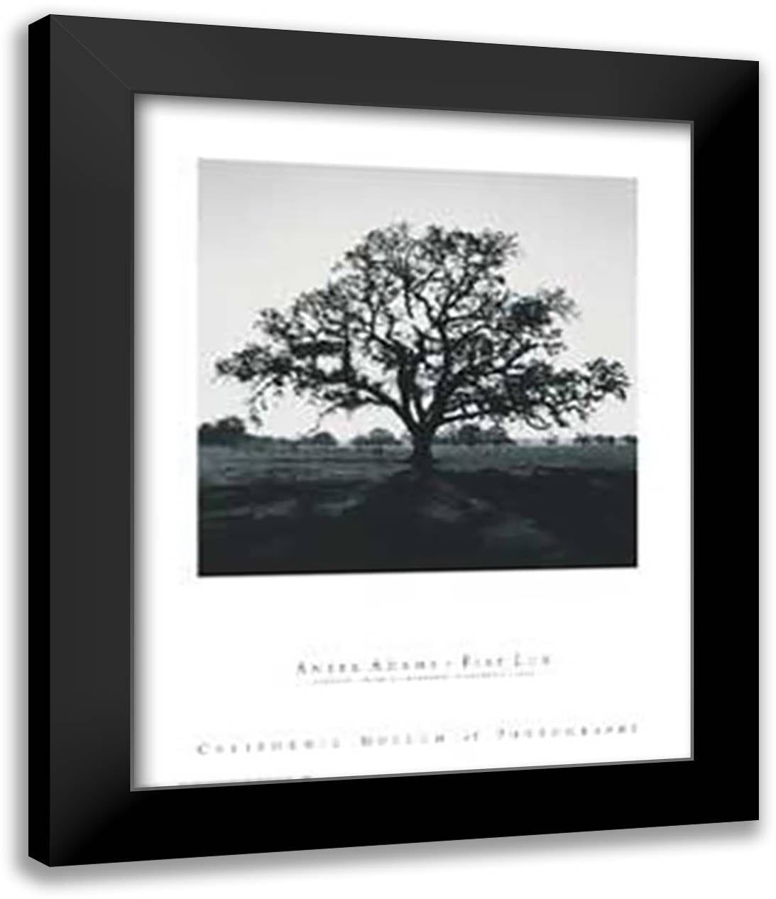 Oak Tree, Sunrise 28x36 Black Modern Wood Framed Art Print Poster by Adams, Ansel