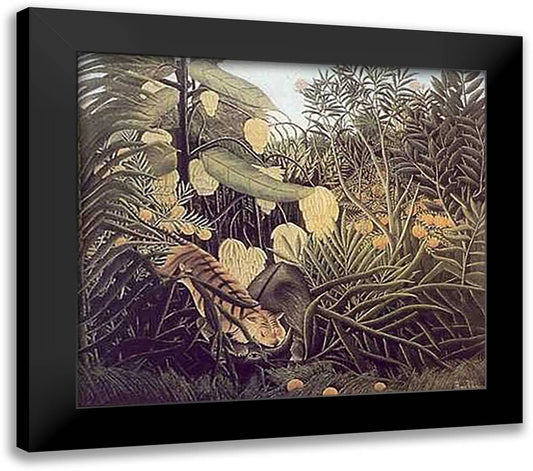 Jungle Tiger Attacking a Buffalo 28x25 Black Modern Wood Framed Art Print Poster by Rousseau, Henri