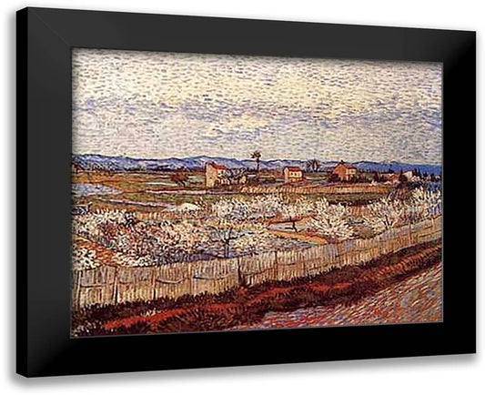 La Crau with Peach Trees in Blossom 28x23 Black Modern Wood Framed Art Print Poster by Van Gogh, Vincent