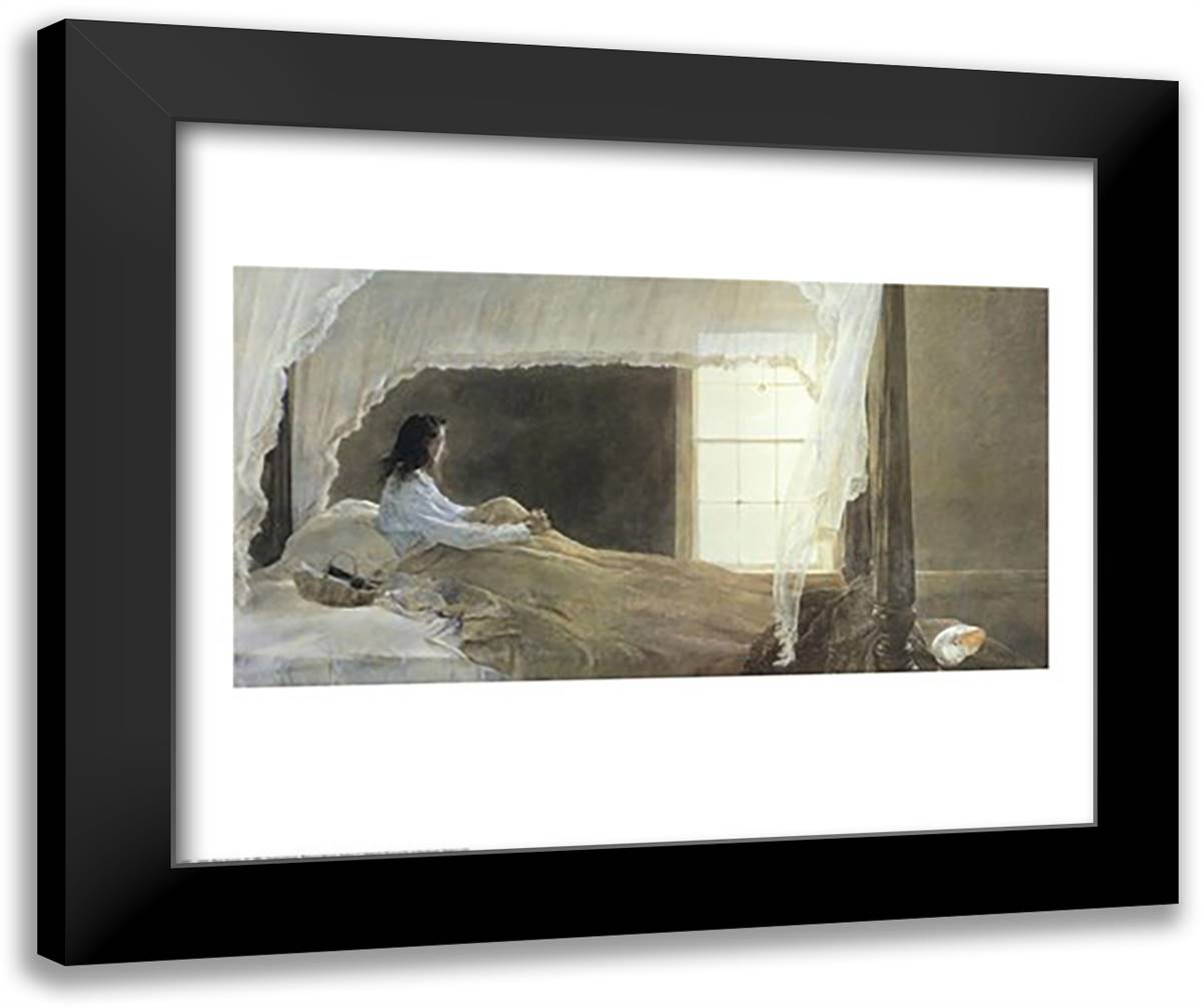 Chambered Nautilus 31x26 Black Modern Wood Framed Art Print Poster by Wyeth, Andrew