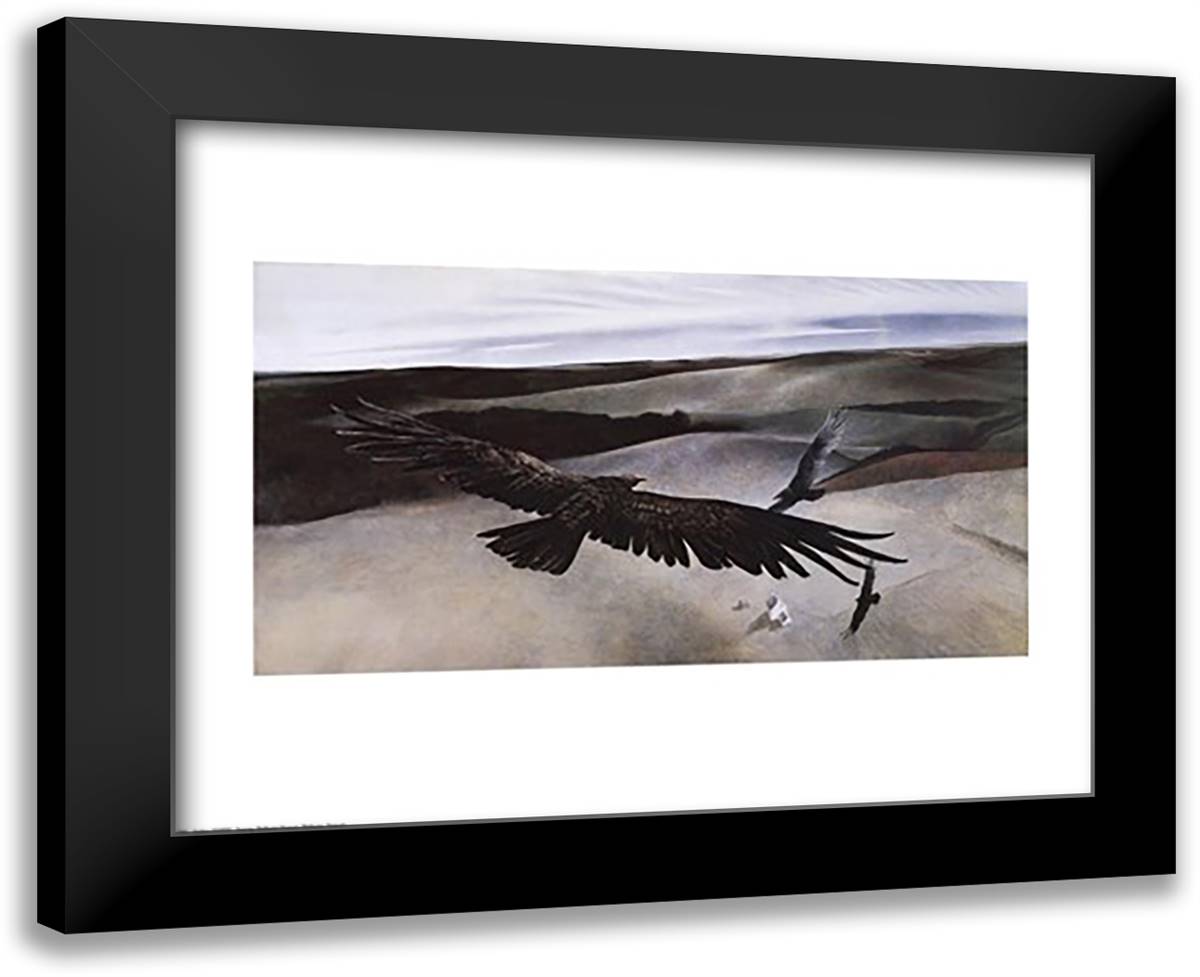 Soaring 32x26 Black Modern Wood Framed Art Print Poster by Wyeth, Andrew