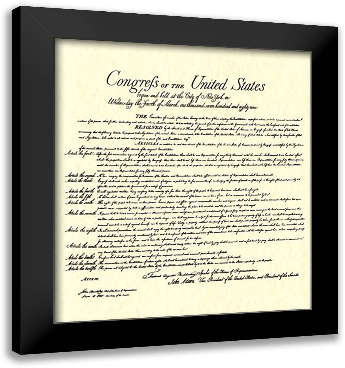 Bill of Rights (Document) 18x20 Black Modern Wood Framed Art Print Poster