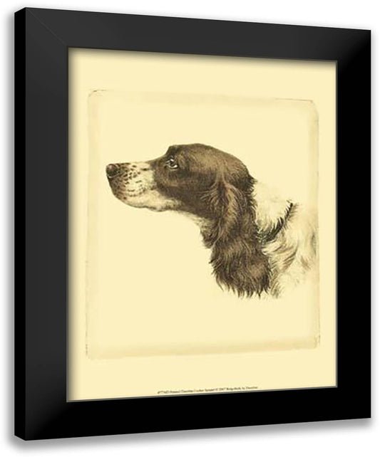 Printed Danchin Cocker Spaniel 14x17 Black Modern Wood Framed Art Print Poster