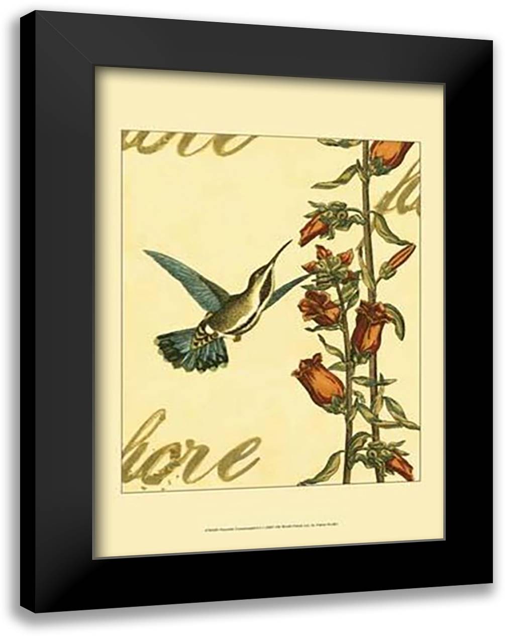 Peaceful Hummingbird I 17x23 Black Modern Wood Framed Art Print Poster