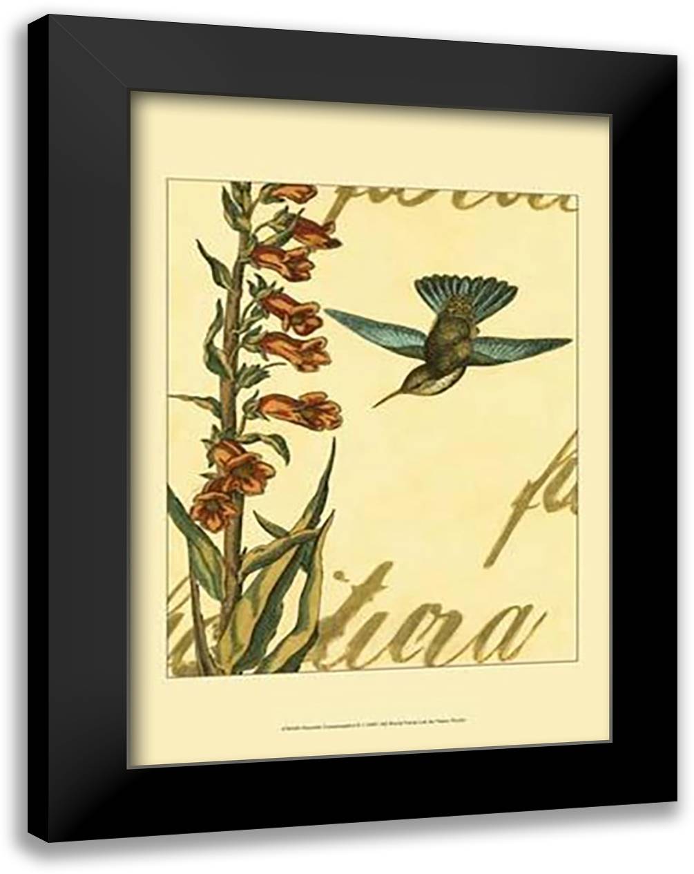 Peaceful Hummingbird II 17x23 Black Modern Wood Framed Art Print Poster