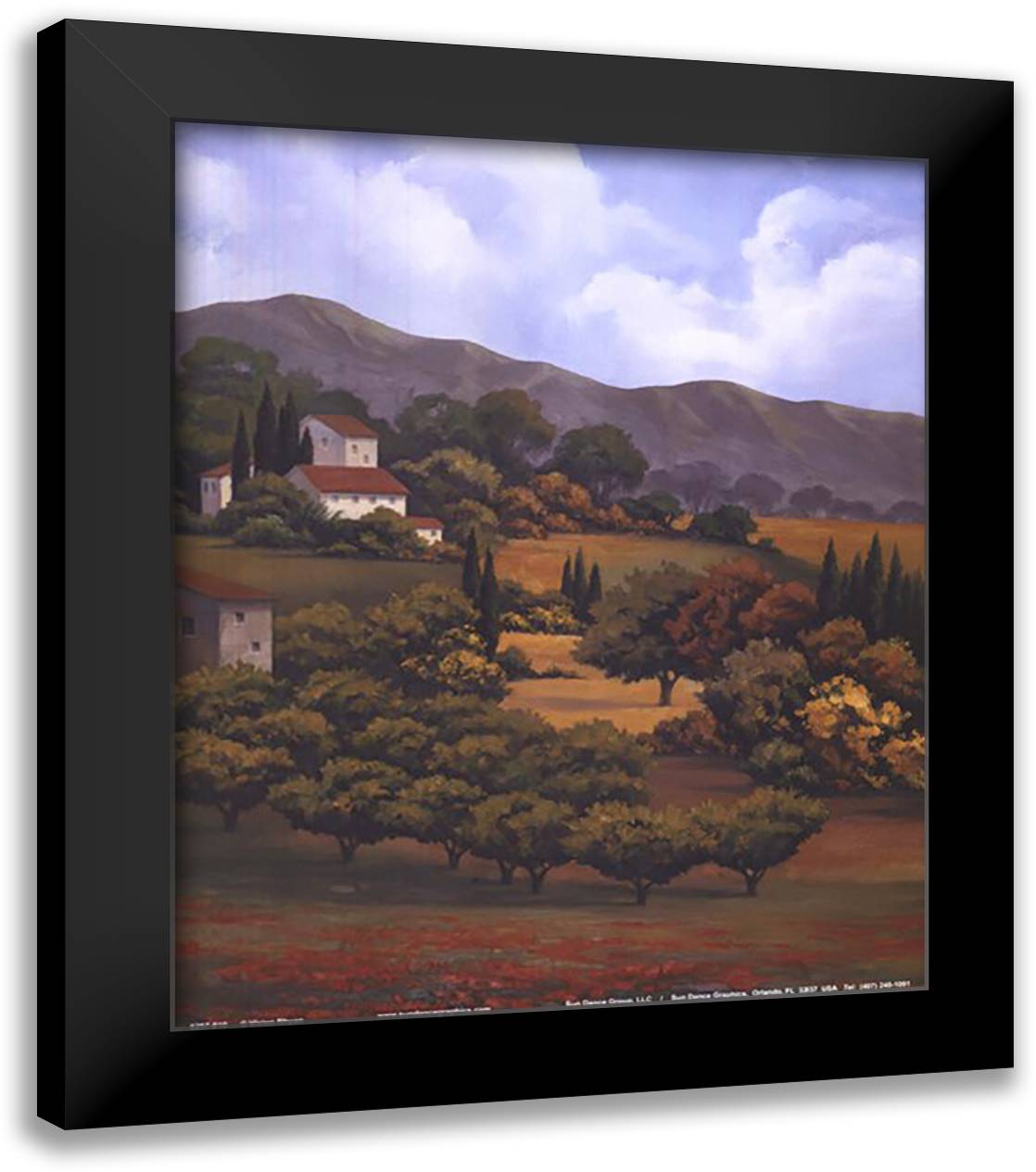 Italian Countryside I 12x14 Black Modern Wood Framed Art Print Poster by Rhyan, Vivien
