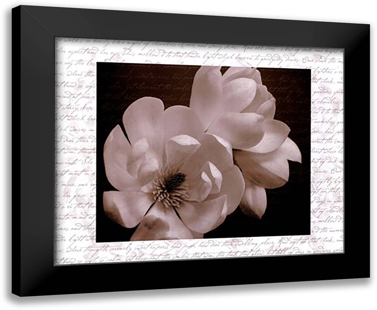 Winter Magnolia II 14x12 Black Modern Wood Framed Art Print Poster by Stuart, Tony