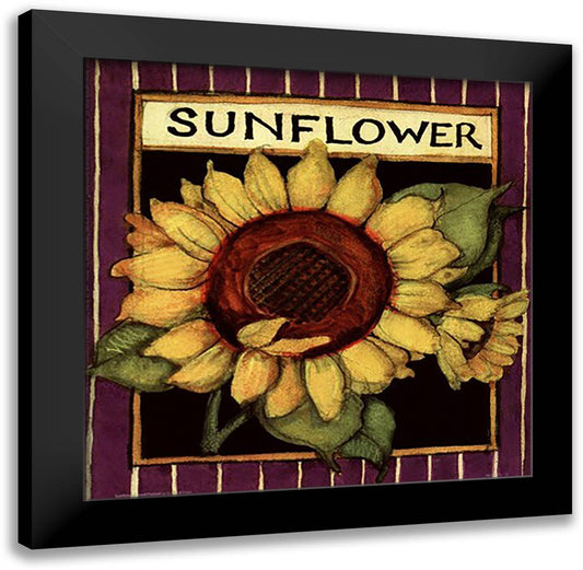 Sunflower Seed Packet 12x12 Black Modern Wood Framed Art Print Poster by Winget, Susan