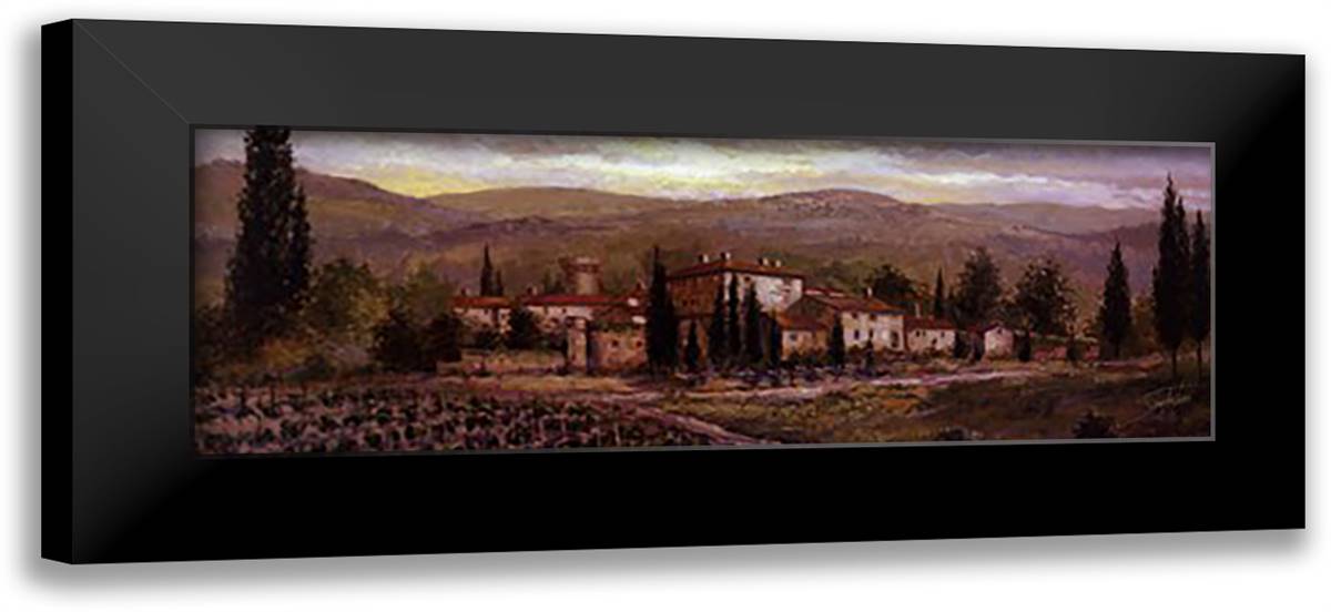 Uzzano 40x16 Black Modern Wood Framed Art Print Poster by Sambataro, Joe