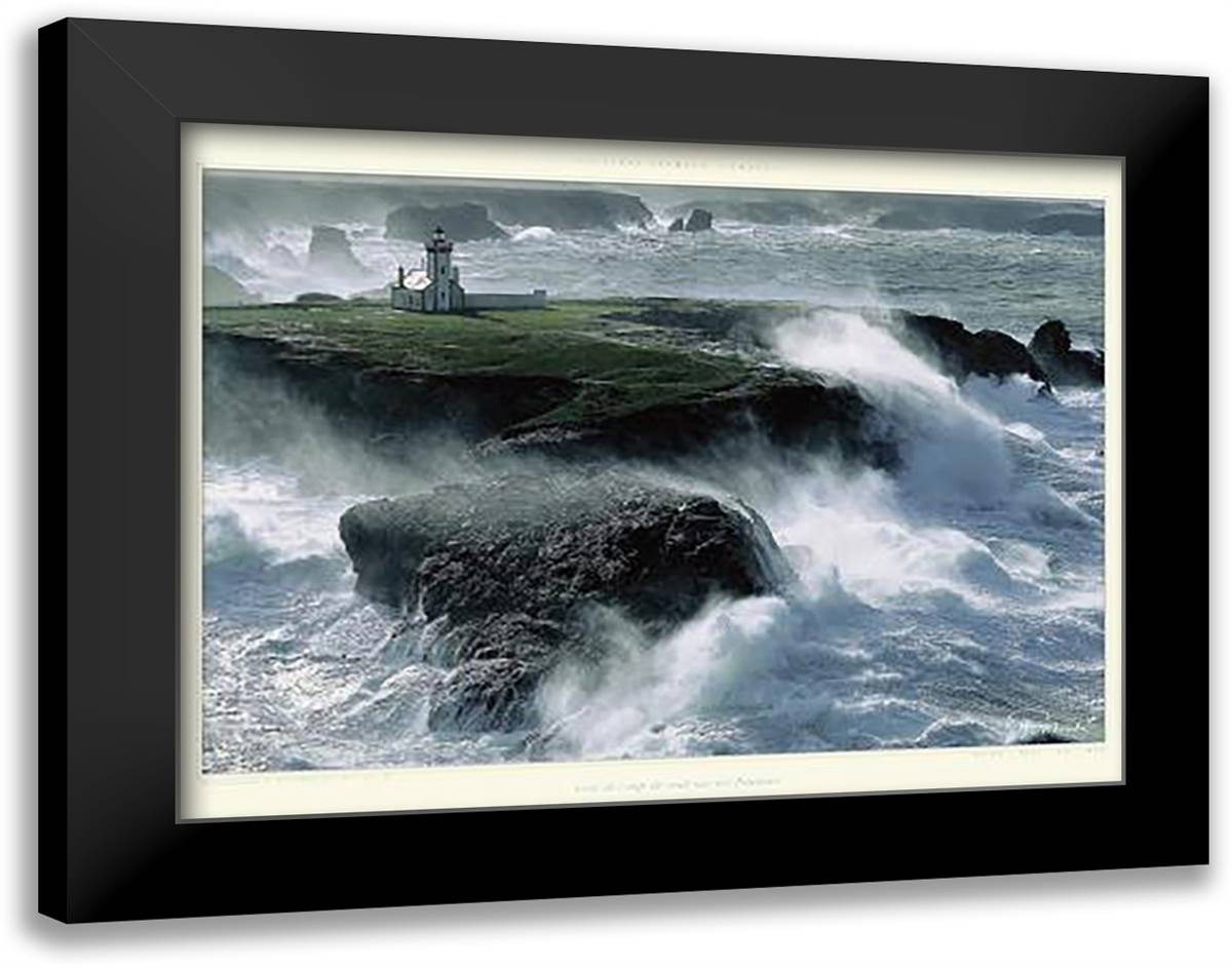 Avis De Coup De Vent Sur Les Poulains 20x16 Black Modern Wood Framed Art Print Poster by Plisson, Philip