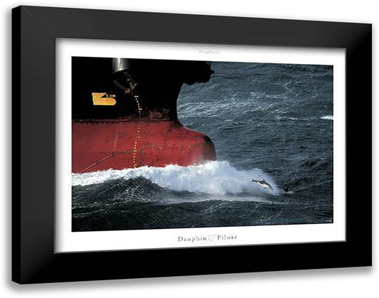 Dauphin Pilote 20x16 Black Modern Wood Framed Art Print Poster by Plisson, Philip